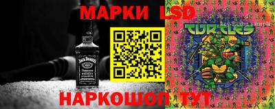 прущие грибы Кунгур