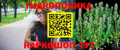 прущие грибы Кунгур
