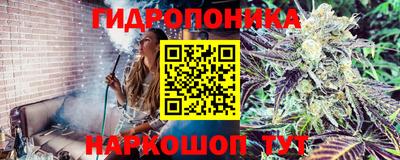 прущие грибы Кунгур