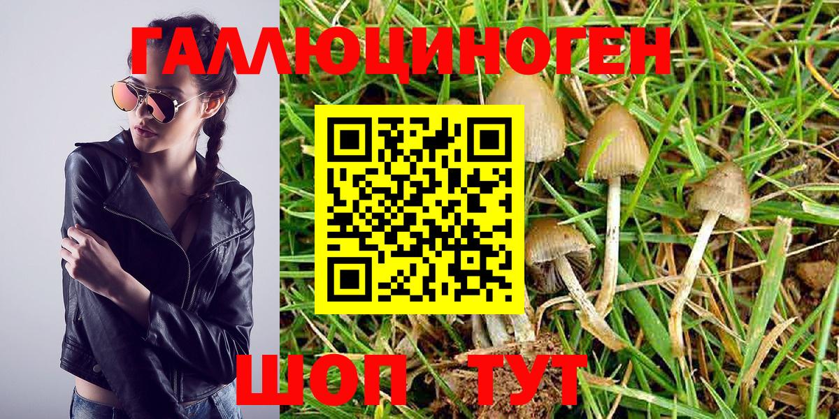 Галлюциногенные грибы Magic Shrooms Выборг